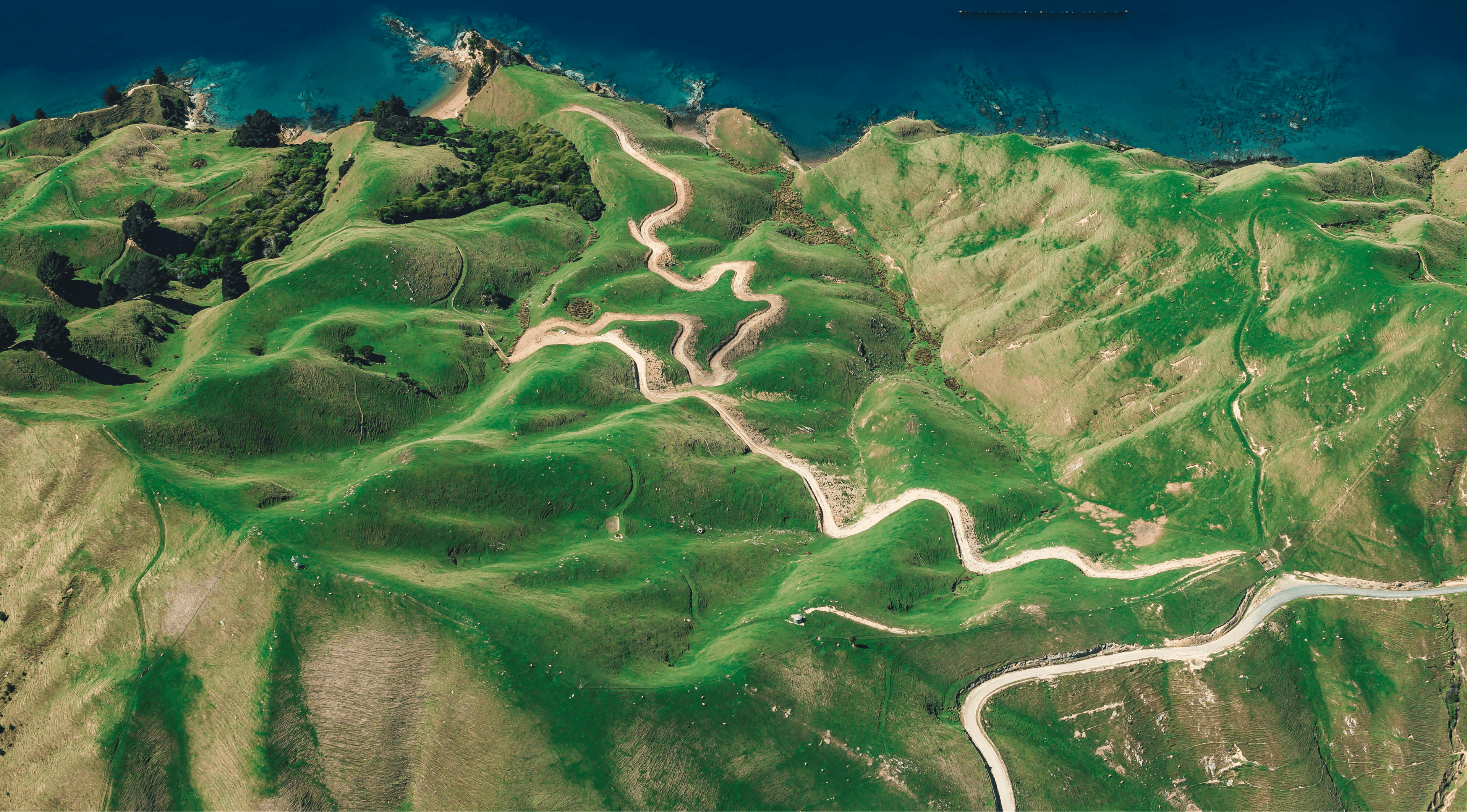 An eye-catching landscape of green.