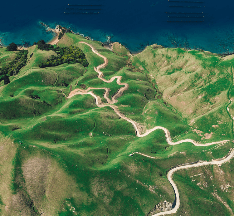 An eye-catching landscape of green.