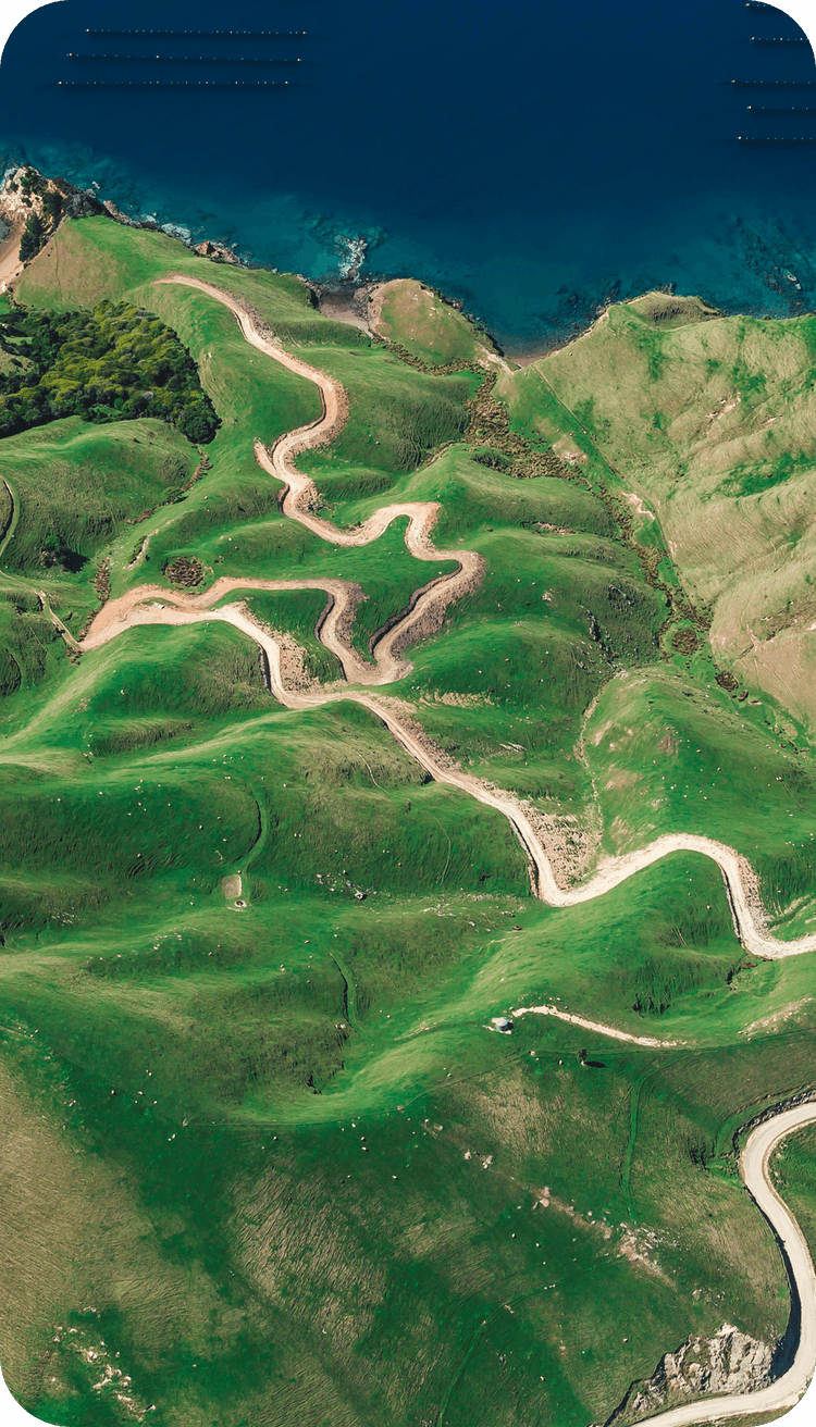 An eye-catching landscape of green.